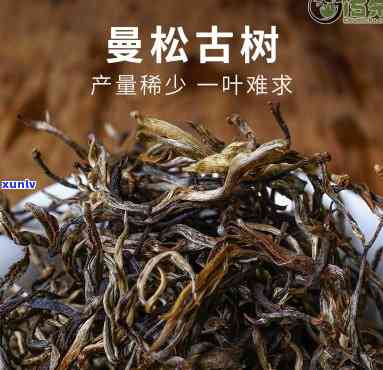 曼松古树茶是大叶种还是小叶种，揭秘曼松古树茶：它是大叶种还是小叶种？