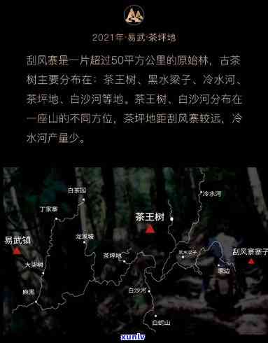 易武王子山普洱茶，探索易武王子山：揭秘顶级普洱茶的诞生地