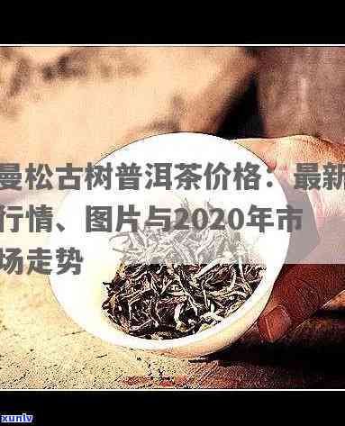 曼松古树茶今天价格-曼松古树茶今天价格多少