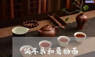 曼松猫耳朵茶的独特特点及其功效解析