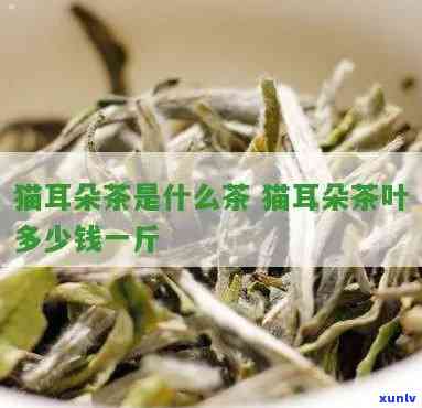 猫耳朵茶是什么茶，探秘神秘的茶叶——猫耳朵茶，它到底是一种什么茶？