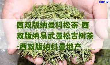 西归和曼松茶哪个好喝，《口感对决：西归与曼松茶，谁才是你的茶饮新宠？》