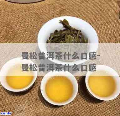 西归和曼松茶哪个好喝，《口感对决：西归与曼松茶，谁才是你的茶饮新宠？》