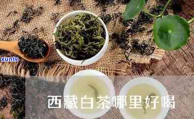 西归茶属于什么茶，揭秘西归茶：它属于哪种茶类？