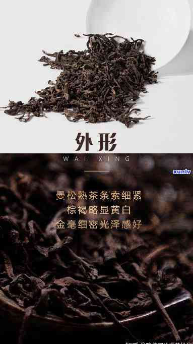 则道曼松小树茶开-则道曼松熟茶