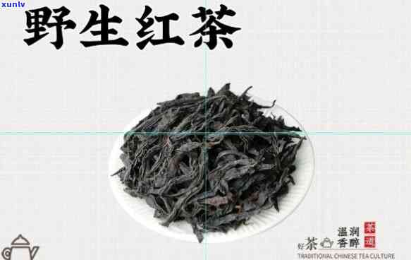 野生的红茶：高档茶还是普通茶？价格多少一斤？