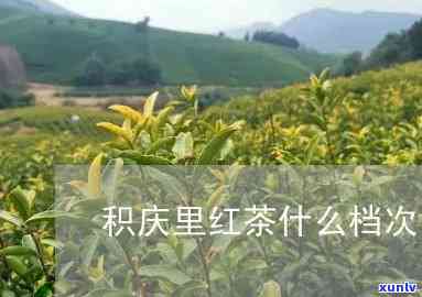 积庆里红茶什么档次-积庆里红茶怎么样