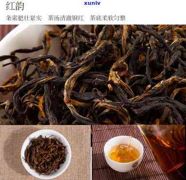 积庆里红茶什么档次-积庆里红茶怎么样