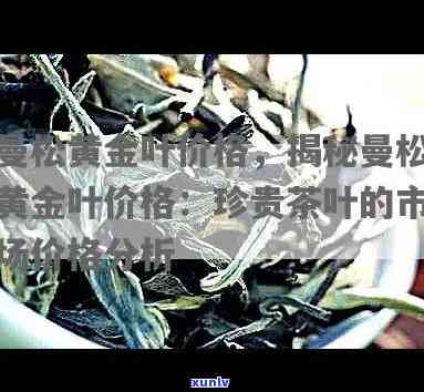 金曼松普洱茶价钱，探寻金曼松普洱茶的价格：一份全面的市场分析