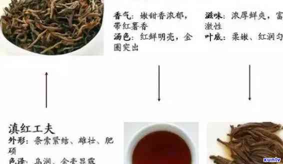 红茶出现在哪个朝代时期，探寻历：红茶的起源与哪个朝代有关？