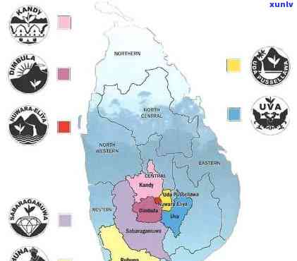 正宗的锡兰红茶：产地、种类与特点全解析