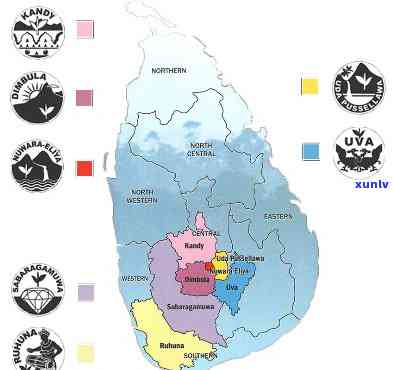锡兰红茶各产区味道-锡兰红茶各产区味道区别