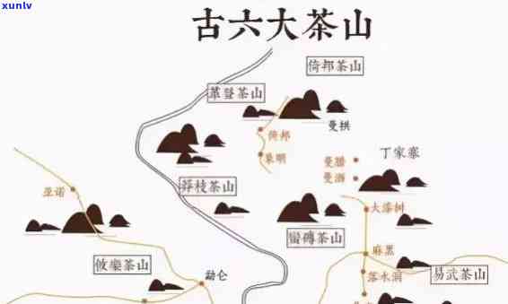 曼松古树茶在哪座山头出名？解析其所属茶区与产地