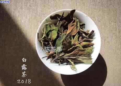 荒野红茶是什么味道的？探讨其口感与特点