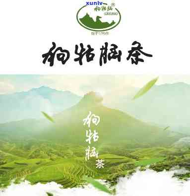 深度解析：狗牯脑茶的历、 *** 工艺与口感特点