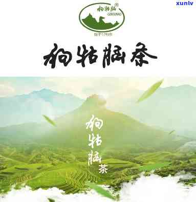 狗牯脑茶口感怎么样-狗牯脑茶介绍