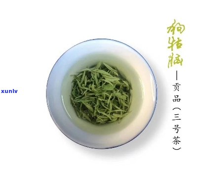 狗牯脑茶口感怎么样-狗牯脑茶介绍