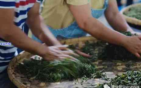 曼松贡茶一饼多少克-曼松贡茶327多少一饼