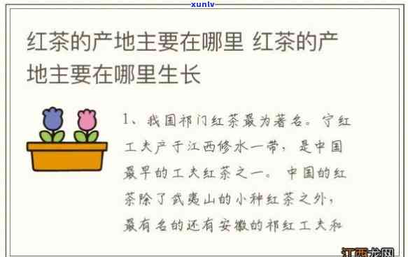 世界有名的红茶产地在哪里，揭秘世界闻名的红茶产地，你最应该知道的是哪里？