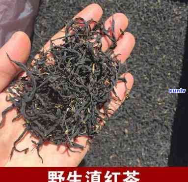 询问野生红茶口感：好喝吗？请看图片