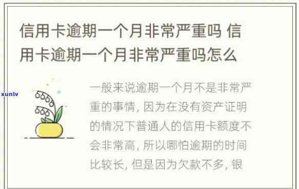 福建小伙信用卡逾期一千多万-福建小伙信用卡逾期一千多万怎么办