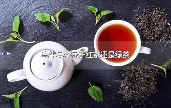 乌牛早茶红茶的功效：揭示其独特作用与好处