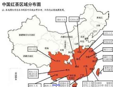 红茶制法发源地是哪里？探讨其历与文化价值