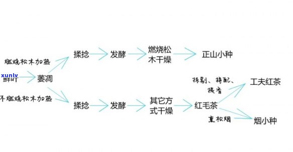 红茶制法发源地是哪里？探讨其历与文化价值