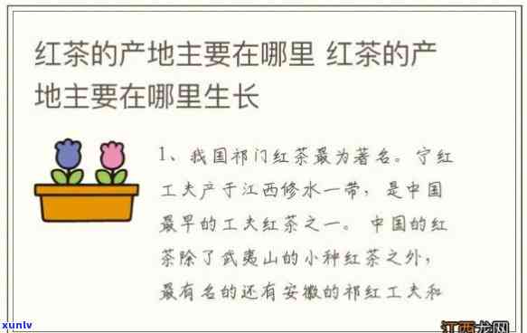 探究中国有名的红茶产地：你不可错过的城市与地方