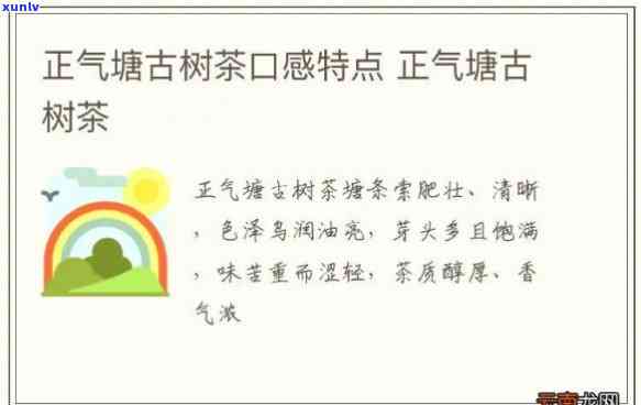 正气塘古树红茶：价格、茶型全解析