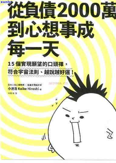 负债2000万-负债2000万到心想事成每一天