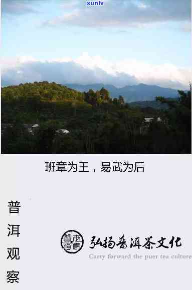 老班章为王,易武为后，老班章称王，易武居后：普洱茶界的双雄对决