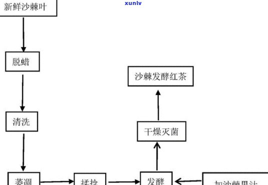 红茶发酵原理与主要影响因素解析