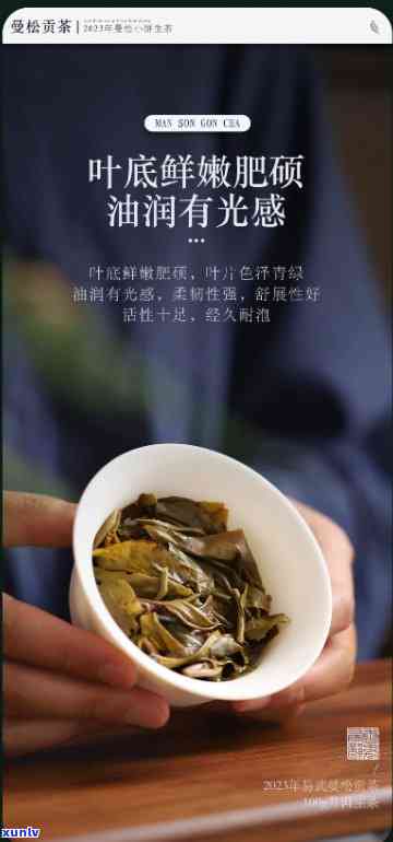 曼松贡茶王子山100克：王子山与曼松贡茶的价格比较