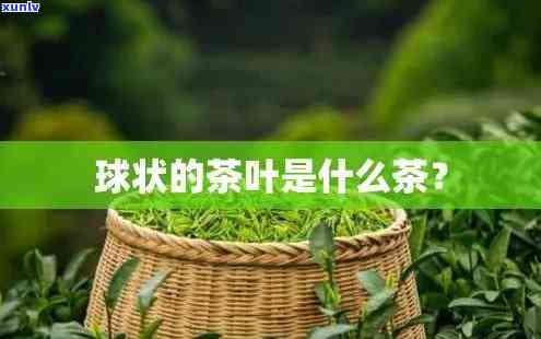 红茶圆球状的是什么茶，探秘茶叶世界：红茶中的圆球状品种是什么？