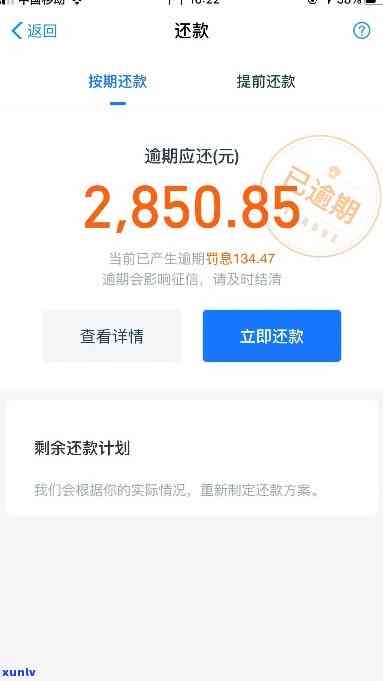 花呗借呗逾期30万怎么办，急需解决！花呗、借呗逾期30万，你该怎么做？