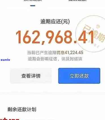 支付宝花呗借呗逾期6万多最严重解决结果，支付宝花呗、借呗逾期6万多：熟悉最严重的解决结果！