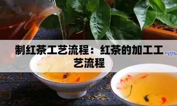 红茶视频是什么？含义与 *** 软件全解析