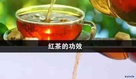 红茶软件，探究红茶软件：功能、优点与使用体验