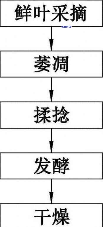 红茶加工工艺中最独特的步骤，「揭秘」红茶加工工艺中独特的一步骤：发酵