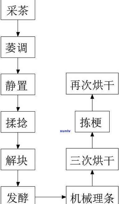 红茶加工工艺中最独特的步骤，「揭秘」红茶加工工艺中独特的一步骤：发酵