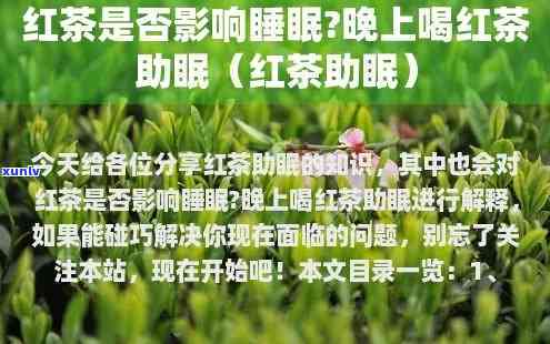 红茶、绿茶对睡眠的影响：哪种茶不影响睡眠？