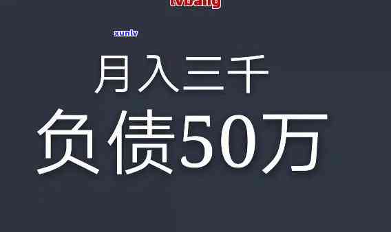 家庭负债50万-家庭负债50万多吗