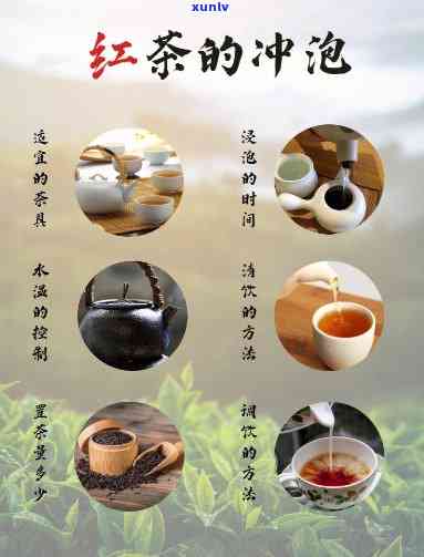 红茶：冲泡好还是煮的好？口感对比解析