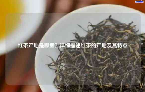 红茶是哪个地方特产？哪个产地的红茶？探讨红茶的地域性