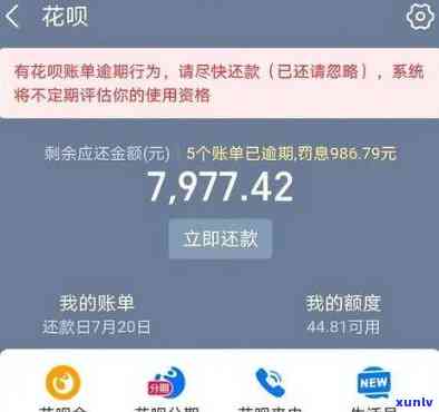 借呗花呗逾期12万会产生怎样的后果？如何处理？