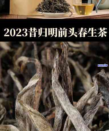 昔归普洱茶价格375克，【 *** 网】2023年春茶 昔归普洱茶 375克 生茶 大益古树纯料 散茶 绿茶茶叶 新茶 古树茶礼盒装顺丰