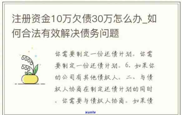 普通家庭欠债30万：解决  与建议