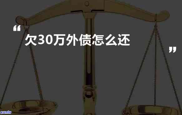 普通家庭欠债30万：解决  与建议