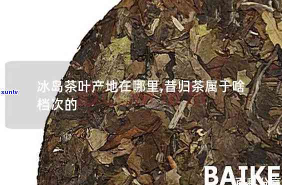 昔归冰岛是什么茶，探秘全球珍稀茶叶：昔日归冰岛茶，你了解多少？